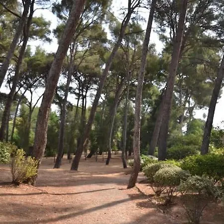 A Deux Pas Des Plages Lejlighed Saint-Cyr-sur-Mer
